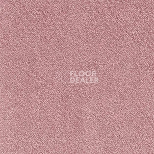 Ковролин AW Strada 60 фото 1 | FLOORDEALER